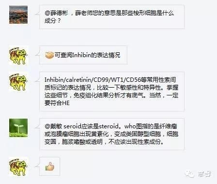 低分化支持－间质细胞瘤（ 戴敏病例分享，群友讨论，刘从容老师讲解）