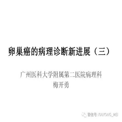 卵巢癌的病理诊断新进展（三）