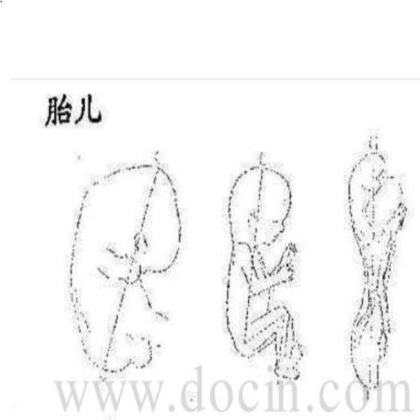 病理标本取材规范