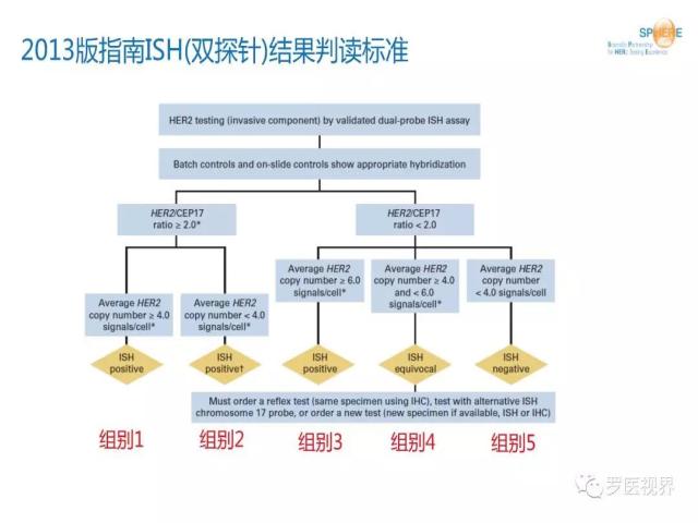 2018 ASCO/CAP乳腺癌HER2检测指南更新解读