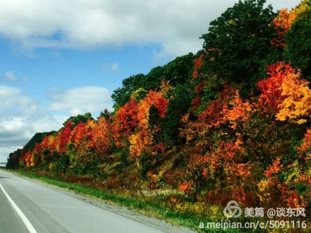 中国首届赴美肿瘤科主任班 Chinese Chief Oncologists at MDACC