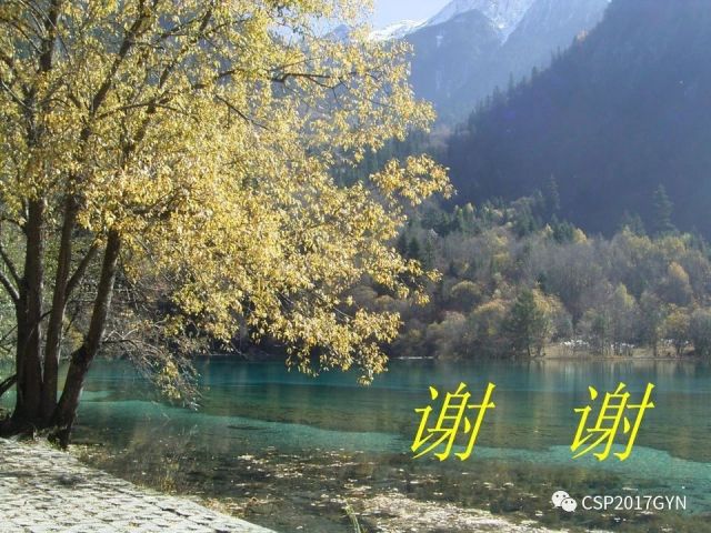 中华病理学会基层培训遵义站讲座（二）——宫颈细胞学诊断中陷阱与筛查进展