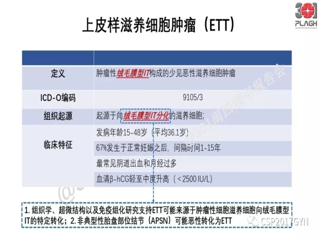 中间型滋养细胞肿瘤的诊断及鉴别诊断