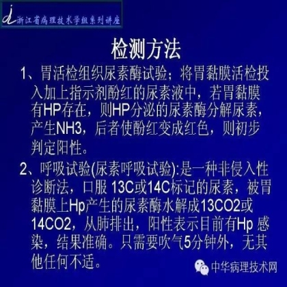 特殊染色 - HP染色