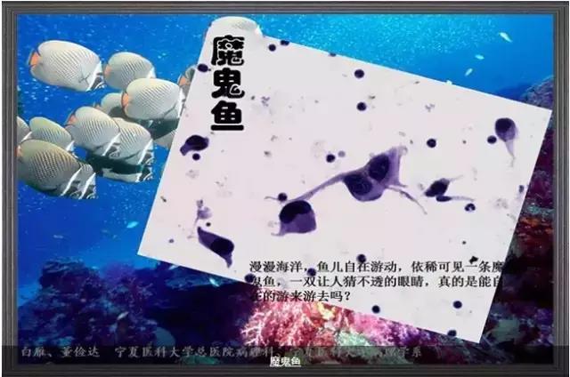 你见过这么美的病理切片吗？