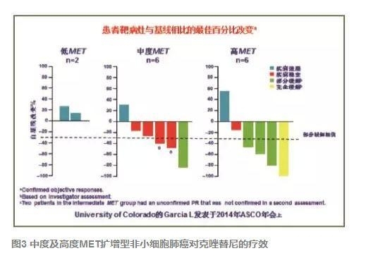 原发MET基因扩增型肿瘤“METoma”与精准医学