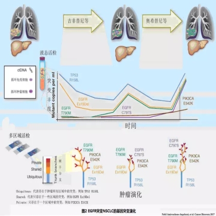 NSCLC的PIK3CA突变