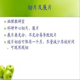 2011-11-21