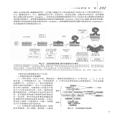 默认相册