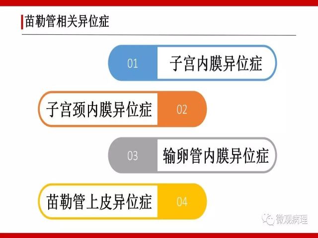 泌尿课程/尿路腺样病变的诊断要点