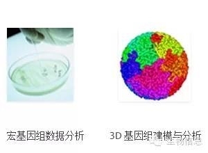 NGS数据处理流程