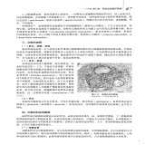 默认相册