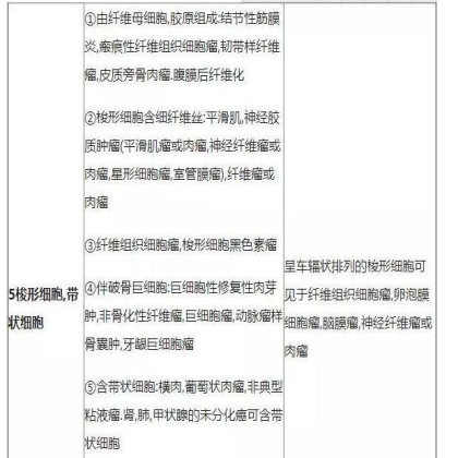 肿瘤病理学分类大全
