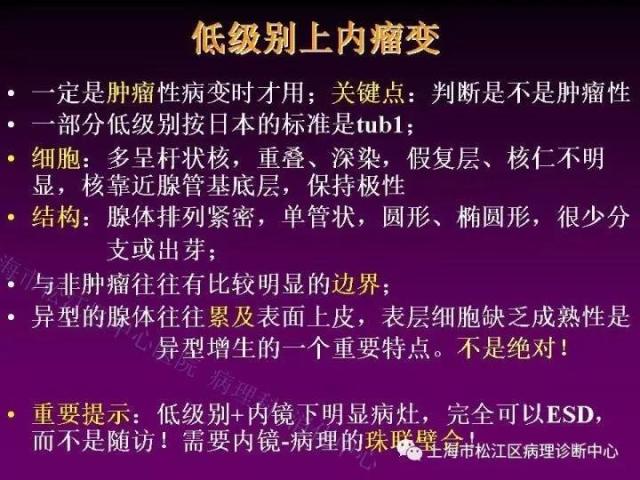 上消化道低级别上皮内瘤变的那些事