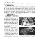 默认相册