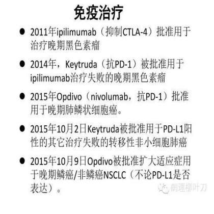 肿瘤精确医疗与分子病理检测