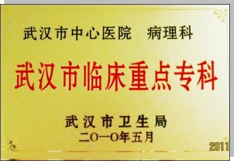 [连载] 一个病理科的故事（序）