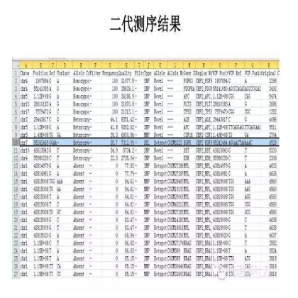 肿瘤精确医疗与分子病理检测
