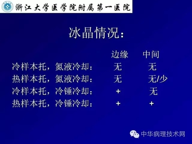 冰冻切片报告注意事项