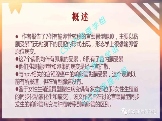 宫颈胃型腺癌中输卵管黏膜受累