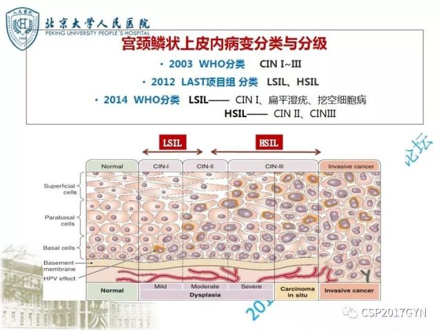 640x480.jpg