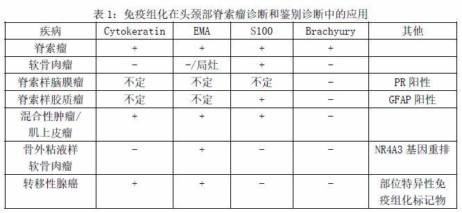 脊索瘤临床病理学特征