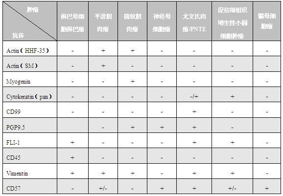 小圆蓝细胞肿瘤鉴别诊断