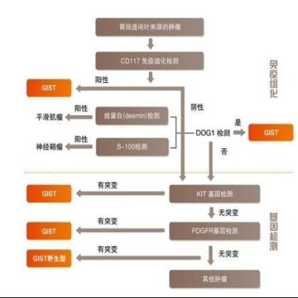 胃肠道间叶来源的肿瘤诊断流程