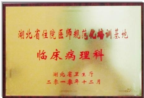[连载] 一个病理科的故事（序）
