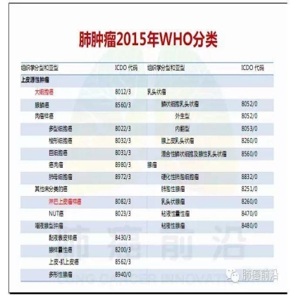 肺癌新分期和分类--临床和研究启示