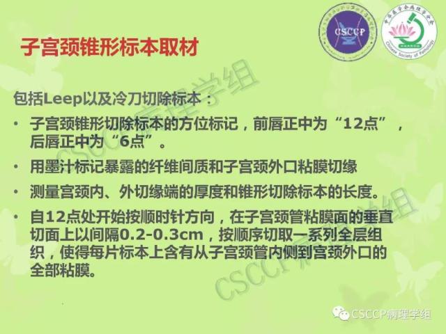宫颈与子宫病变病理标本取材