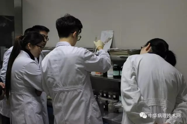 浙江省网状纤维染色培训班圆满结束