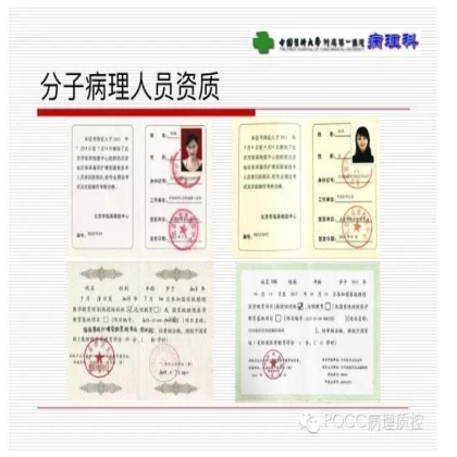 PQCC示范实验室展示——中国医科大学附属第一医院