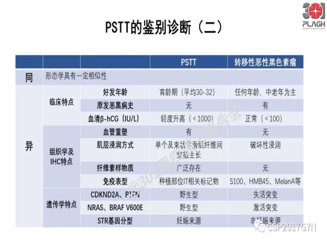 中间型滋养细胞肿瘤的诊断及鉴别诊断