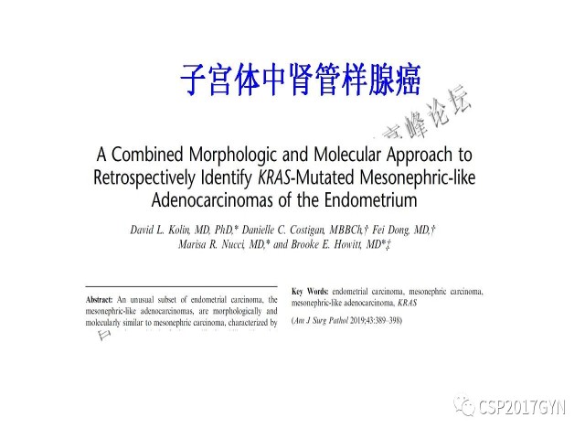 妇科肿瘤病理新进展——特殊类型的腺癌