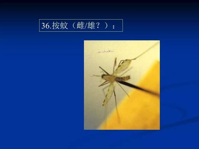收藏！寄生虫图谱大全