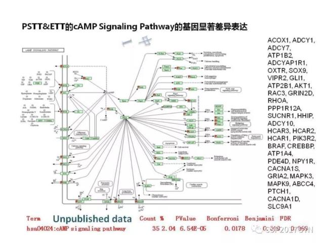 妊娠滋养细胞肿瘤的临床病理学进展