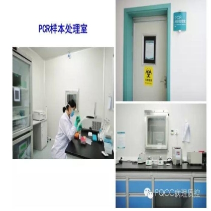 PQCC示范实验室展示——河南省人民医院