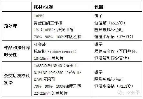 荧光原位杂交(FISH)样本处理标准方案系列(二)——常规细胞学样本