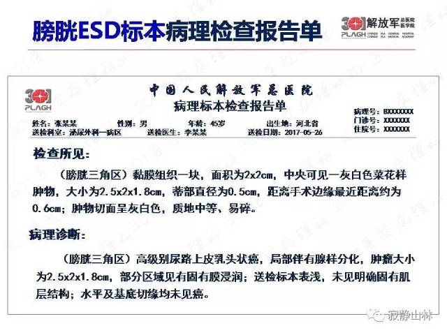 泌尿系统常见肿瘤标本病理报告规范