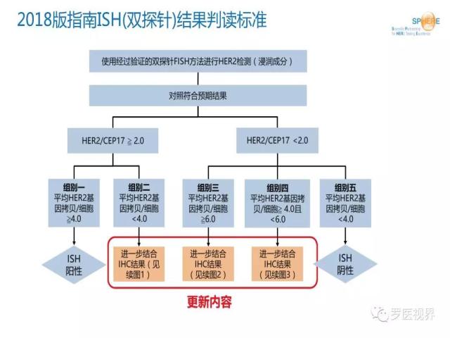 2018 ASCO/CAP乳腺癌HER2检测指南更新解读