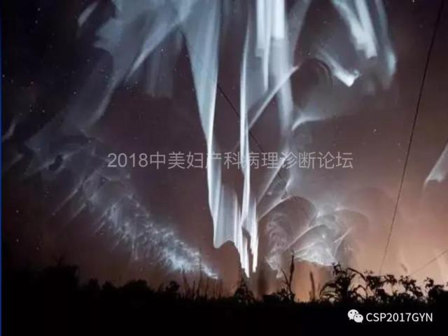 子宫内膜癌：诊断与进展