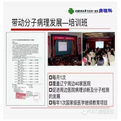 PQCC示范实验室展示——中国医科大学附属第一医院