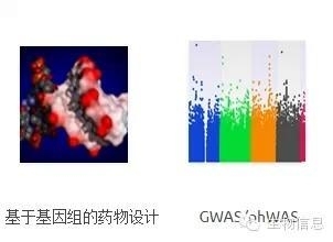 NGS数据处理流程