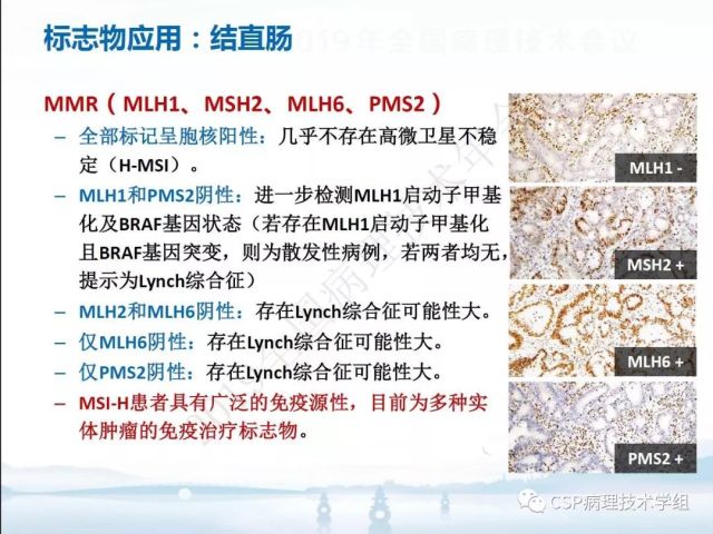 免疫组化检测的临床应用与质量评估