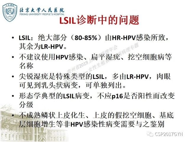 中华病理学会基层培训遵义站讲座（三）——宫颈鳞状上皮病变的病理诊断与鉴别诊断