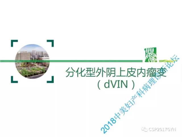 非HPV相关的外阴鳞状细胞肿瘤