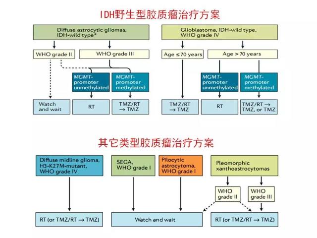 [病理诊断]广东省人民医院李智：胶质瘤的病理诊断 从组织学表型到分子表型