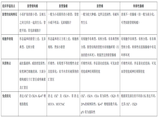 读文献，学病理-胆管错构瘤2例报道