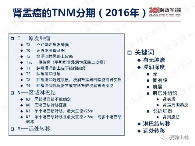 泌尿系统常见肿瘤标本病理报告规范